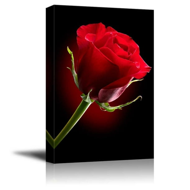Printable Art Wilting Rose Photo Printable Photo Rose Black Background Prin...